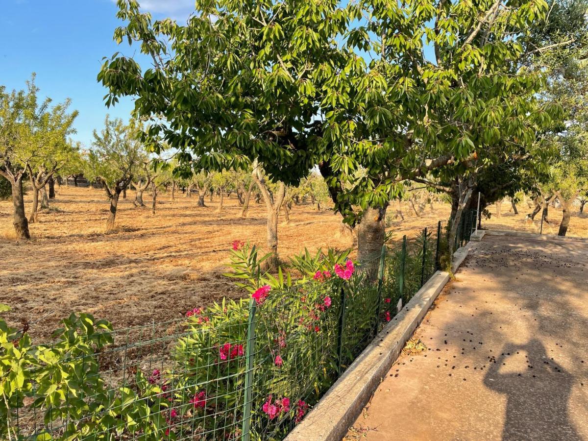 Trulli Ulivi Villa Putignano Buitenkant foto