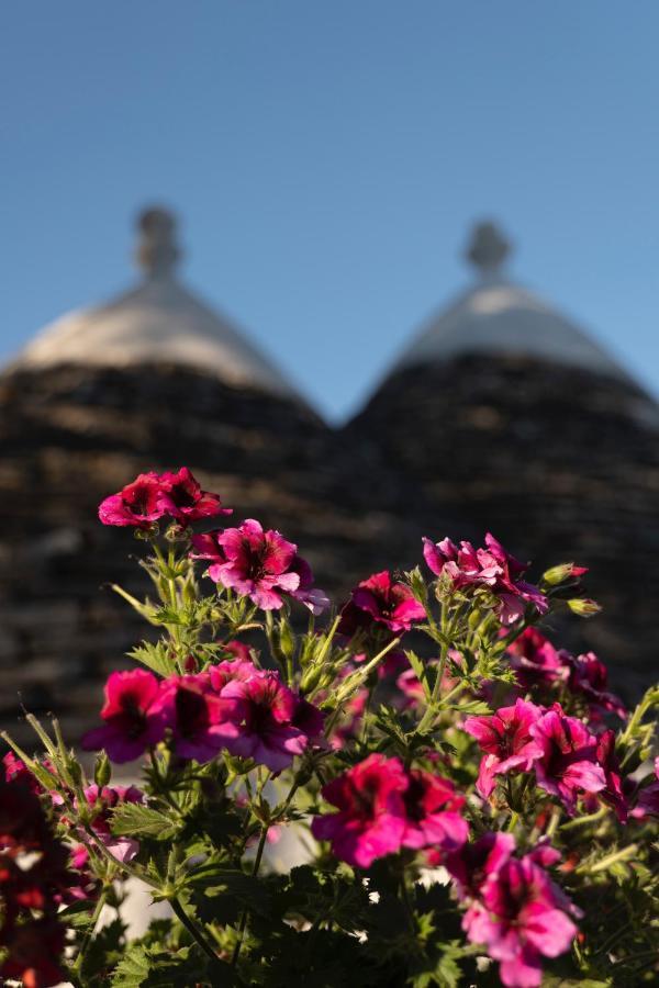 Trulli Ulivi Villa Putignano Buitenkant foto