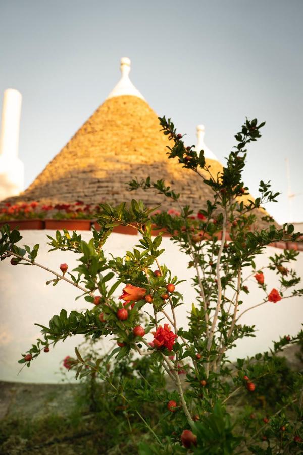 Trulli Ulivi Villa Putignano Buitenkant foto
